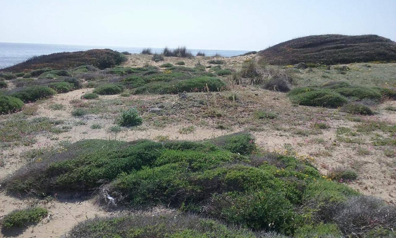 Appartement entier, Affittacamere Letizia in Torricella, Golfe de Tarente