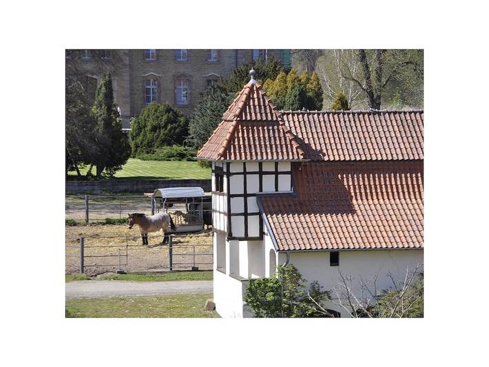 Ferienwohnung mit 2 Schlafzimmer in Bendeleben, Kyffhäuserland