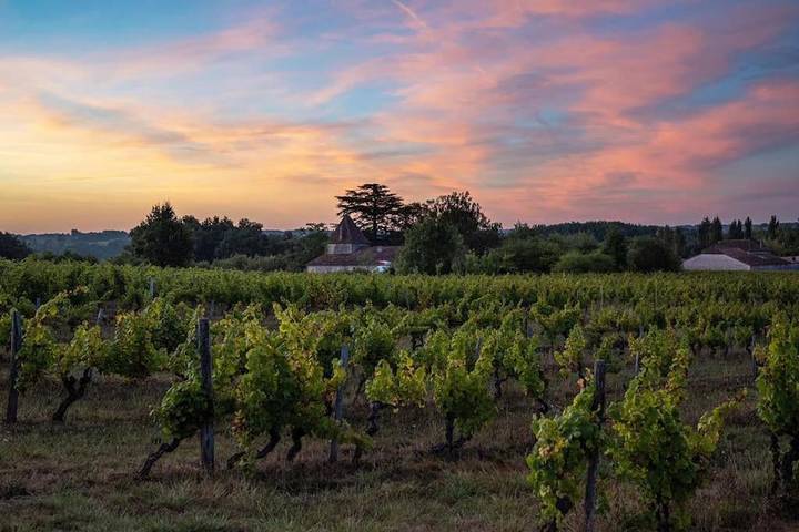 Location de vacances pour 11 personnes, avec jardin et vue, animaux acceptés à Eynesse - 4