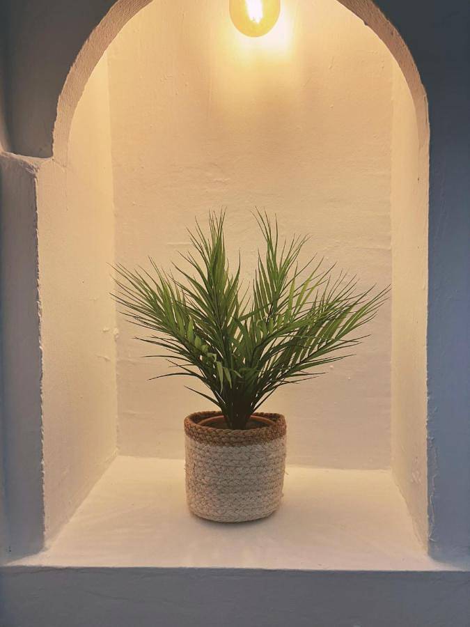 One-Bedroom House in Puget-sur-Argens, Côte méditerranéenne (France)