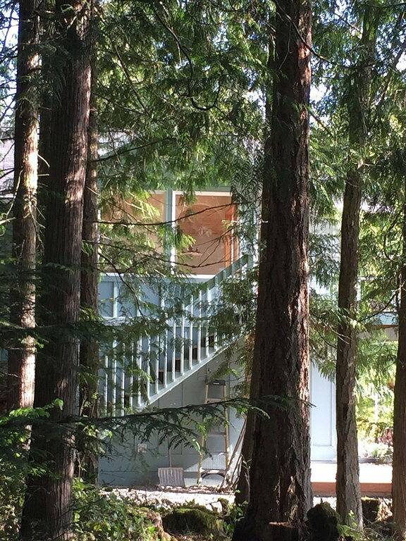 Schöne private renovierte Sunny Cabin Haus mit Wald, Wiese und Wildlife in Hurricane Ridge