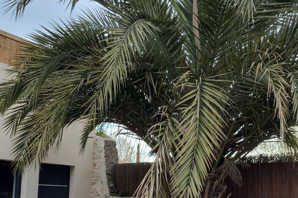 Appartement entier, Loft de Charme Xxl - Le Phoenix in Vergèze, Côte méditerranéenne (France)