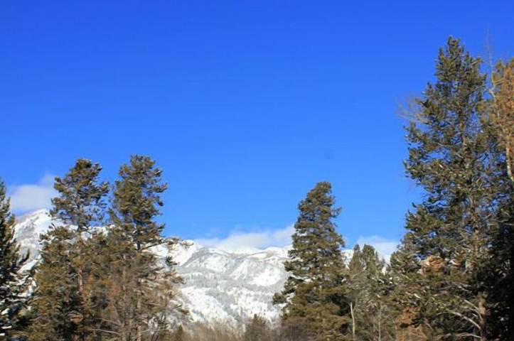 Vacation rental for 4 people in Grand Teton National Park