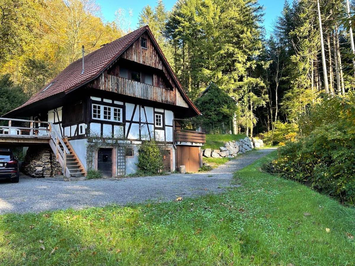 Schwarzwaldhütte am Bach mit Sauna in Nordrach, Mittlerer Schwarzwald
