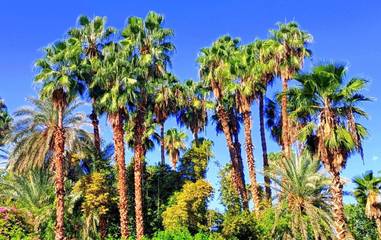 Gîte pour 4 personnes, avec jardin et vue dans Jardin Majorelle Marrakech