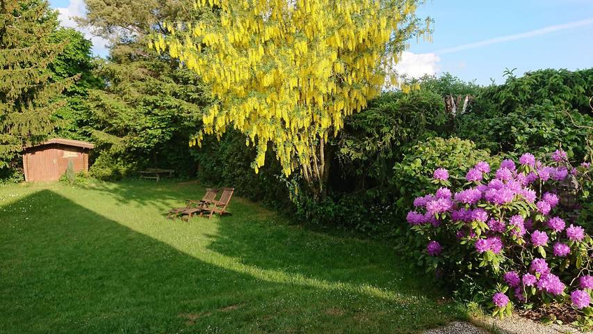 Ferienhaus für 4 Personen, mit Pool und Terrasse sowie Garten im Ahrtal - 4