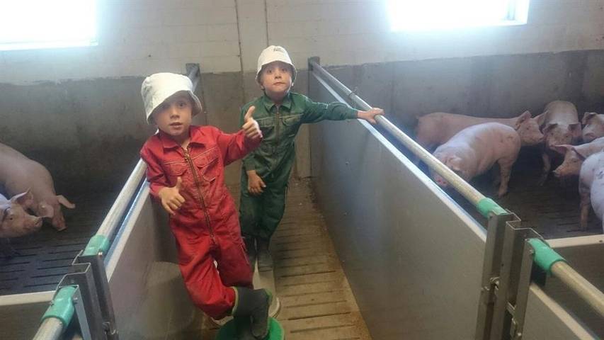 Ferienhaus für 5 Personen, mit Garten und Terrasse in Landkreis Heidekreis - 4