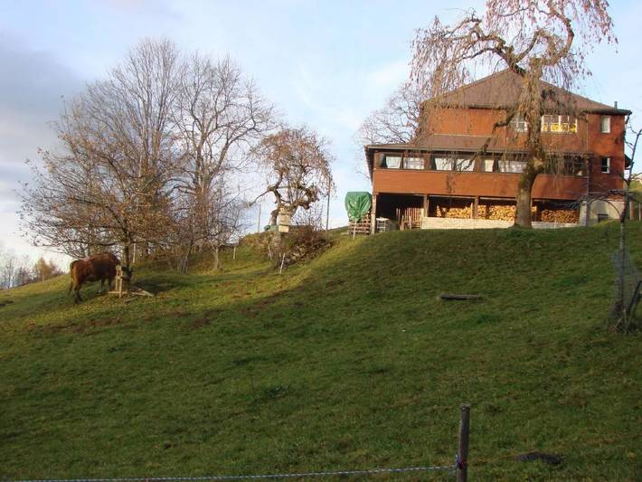 Bungalow für 14 Personen, mit Garten und Terrasse, mit Haustier in der Schweiz - 2