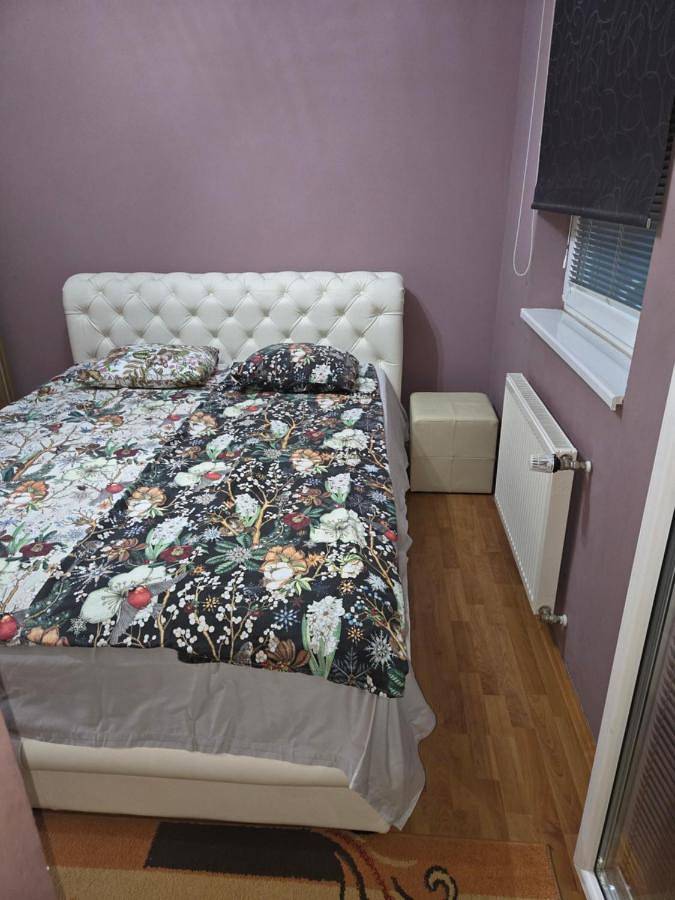 Gîte pour 3 personnes, avec terrasse et vue à Kladovo - 4