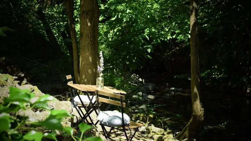 Ferienhaus für 8 Personen, mit Garten, mit Haustier im Westerwald - 3