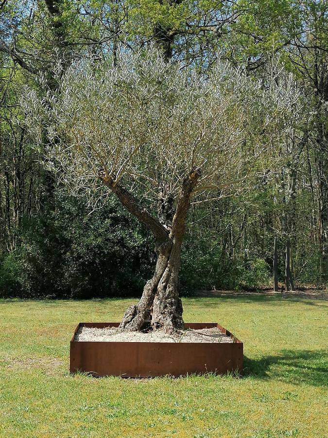 Location de vacances pour 7 personnes, avec jardin à Ruaudin - 4