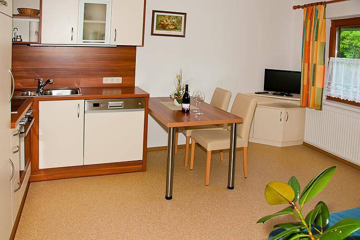 Apartamento vacacional entero, 1. Appartement 1-2, Dusche oder Bad, Wc in Weng im Gesäuse, Gesäuse
