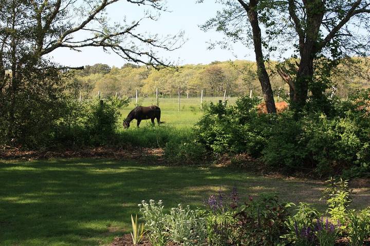 Barn for 6 people, with hot tub and yard in Martha's Vineyard