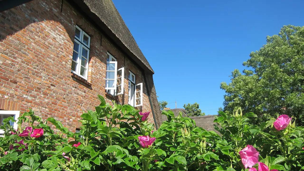 Ganze Ferienwohnung, Ferienwohnung für 3 Personen (55 m²) in Wrixum in Wrixum, Föhr