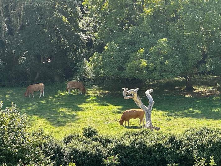 Gîte pour 2 personnes, avec vue et jardin dans Toul - 3