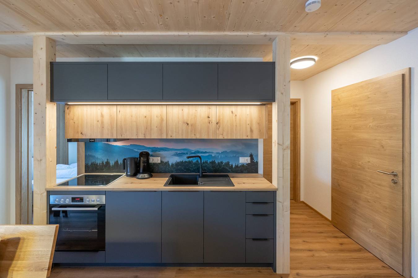 Apartamento vacacional entero, Ferienhaus Dresselbach - Wohnung 02 "Tannenwaldblick" in Schluchsee für 6 Personen in Lago Schluch, Bosque Negro sur