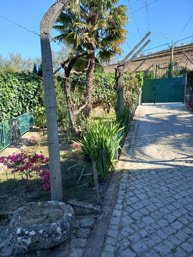 Quinta Casa Do Quintal in Cambres, Vale do Douro