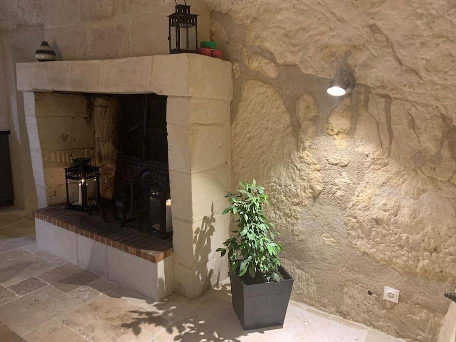 One-Bedroom House in Cravant-les-Côteaux, Vallée de la Loire