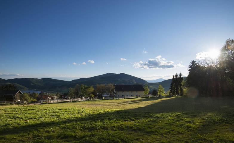 Deluxe Studio Badewanne in Gemeinde Stubenberg, Steirerland