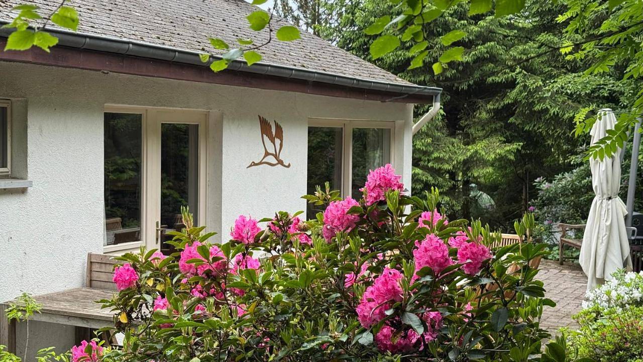 Four-Bedroom House in Nadrin, Houffalize