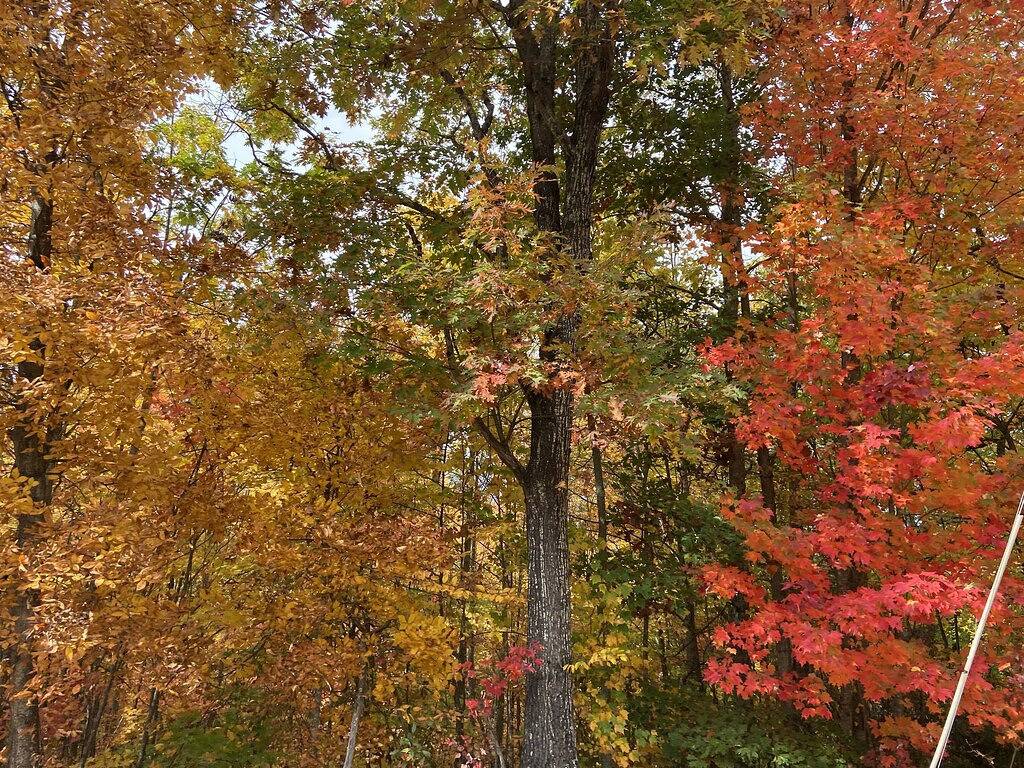 Beautiful Smoky Mountain Sunsets in Haywood County