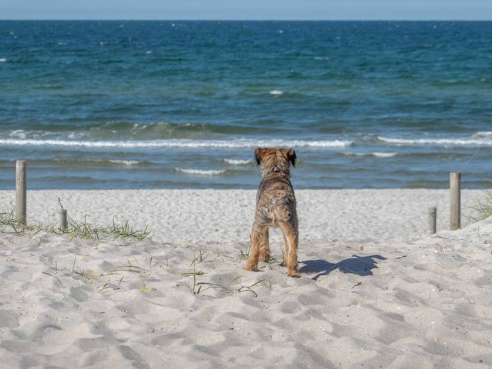 Ferienhaus für 5 Personen, mit Garten in Pruchten