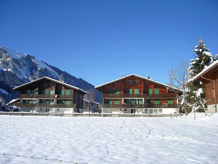 Ferienwohnung für 8 Personen, mit Balkon und Terrasse sowie Garten in Lenk