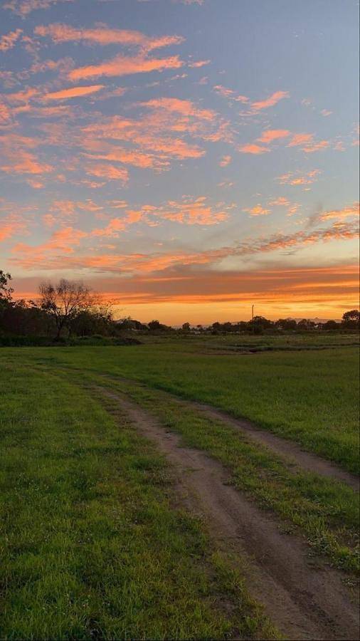 Gîte pour 6 personnes, avec balcon et vue dans Isola d'Arbia - 4