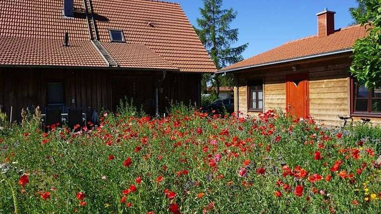 Appartement de vacances entier, Ferienwohnung für 2 Personen (25 m²) in Hinrichshagen in Hinrichshagen, Poméranie occidentale