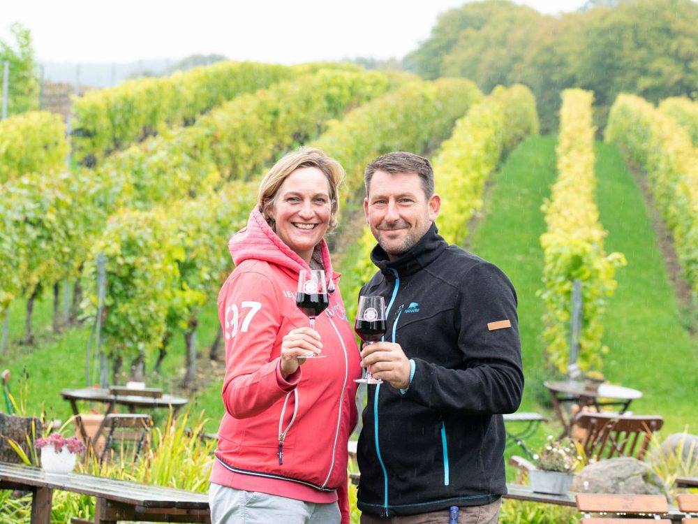 Obst- und Weingut Ingenhof - Ferienwohnung C in Malente, East Holstein