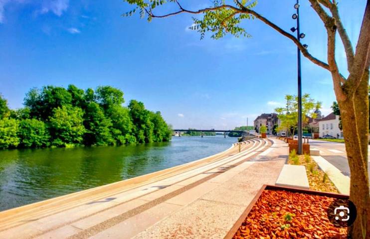 Gîte pour 5 personnes, avec jardin, animaux acceptés à Seurre - 4
