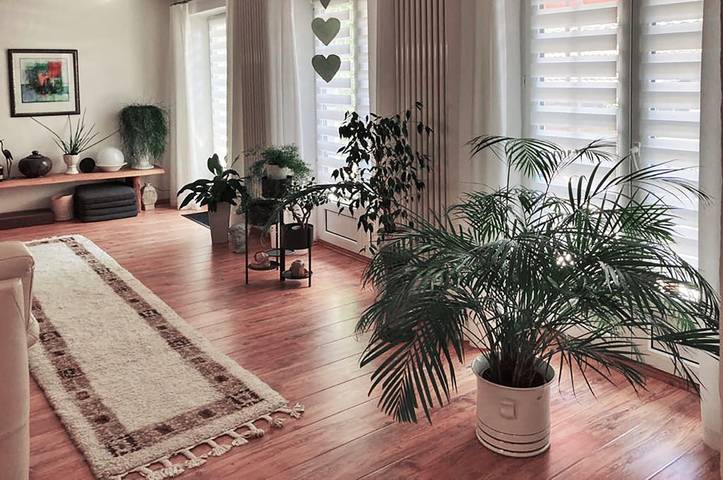 Ferienwohnung für 4 Personen, mit Balkon im Dahner Felsenland - 4