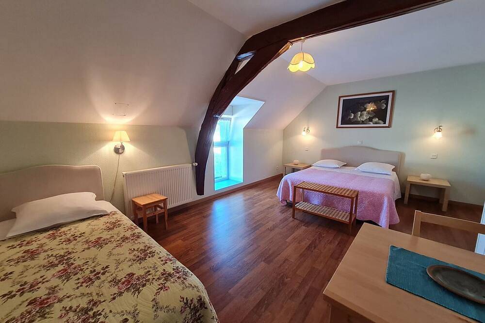 Ferme rénovée au calme - 4 chambres, petit-déjeuner inclu in Cravant (Loiret), Vallée de la Loire