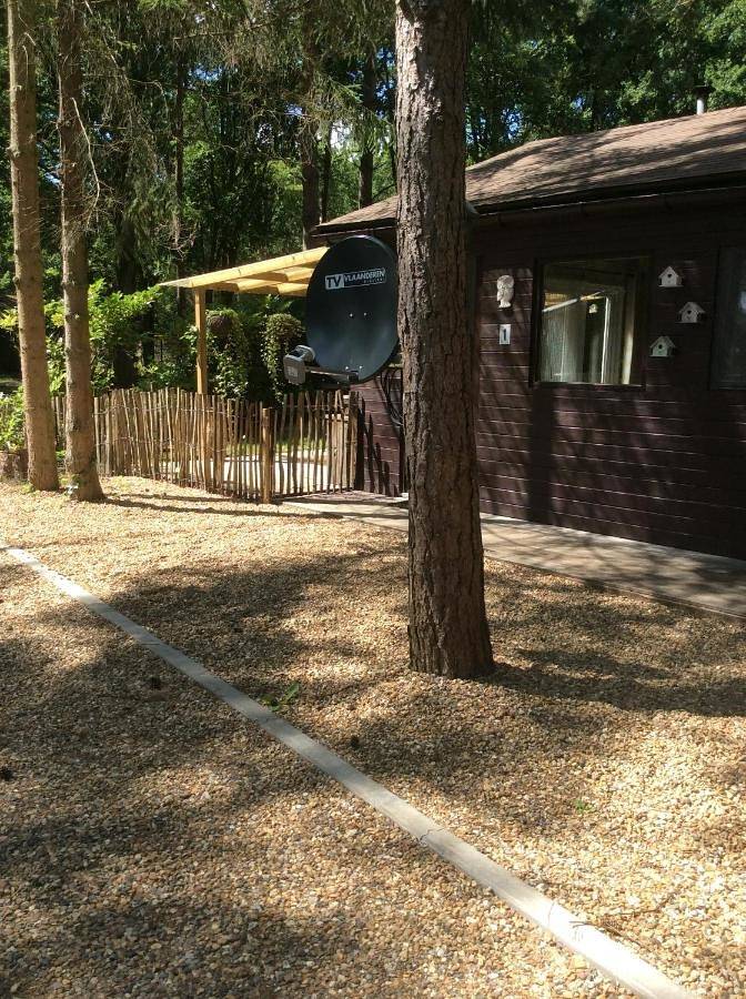 Camping pour 6 personnes avec terrasse in Zutendaal, Région de Hasselt
