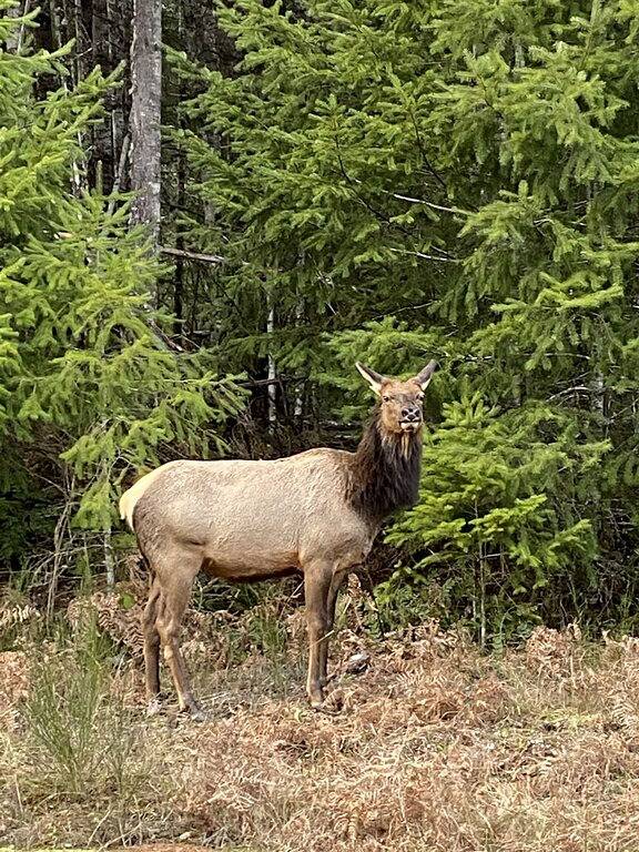 Vacation House for 7 Guests in Cascade Range