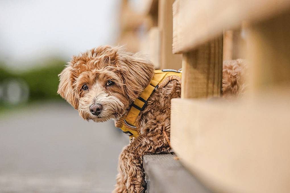 Ferienhaus in Polnische Ostsee ab 55€ pro Nacht
