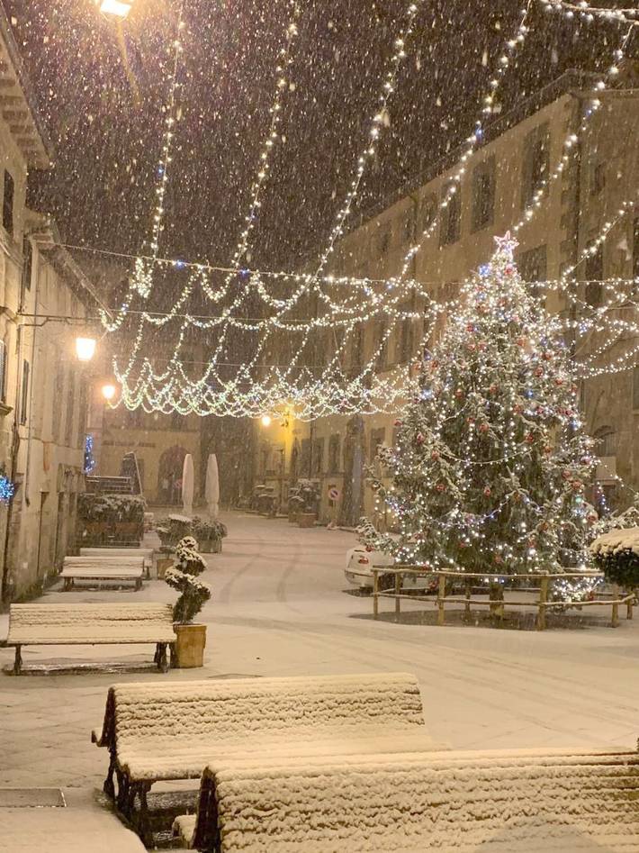 Agriturismo per 3 persone, con panorama e piscina nonché giardino, con animali domestici in Santa Fiora