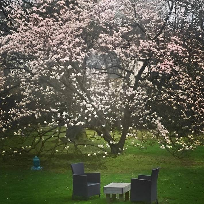 Chambre d’hôte pour 2 personnes, avec jardin dans la Somme - 3