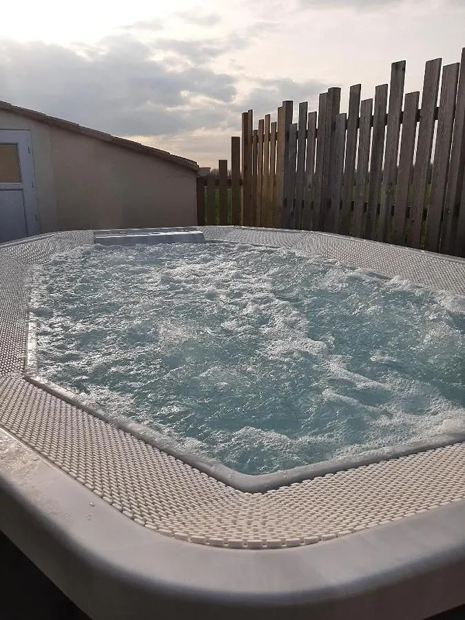 Casa de vacaciones para 20 personas, con jardín además de piscina y jacuzzi - 1