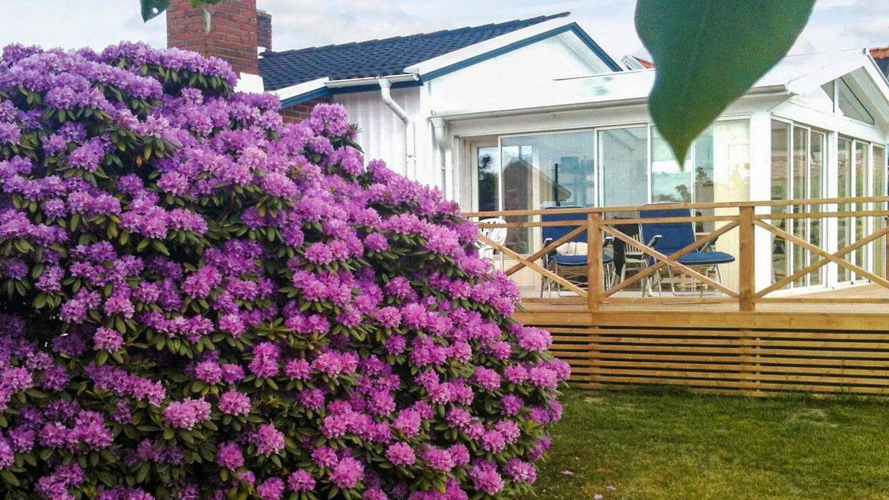 Ferienhaus für 8 Personen (125 m²) in Vejby in Bjärehalvön