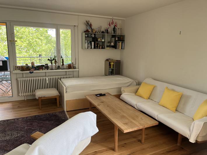 Apartamento entero, Habitación privada en Basilea cerca del bosque: estacionamiento gratuito in Bottmingermühle, Region Basel RDK