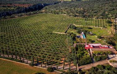 Finca in Manacor, Mallorca Osten für 8 