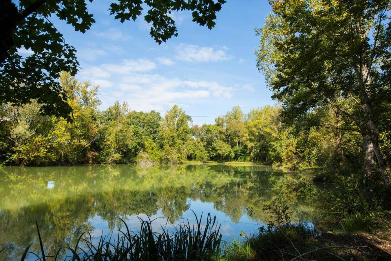 Bonnefon in Cestayrols, Région d'Albi