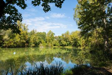 Gîte pour 6 Personnes dans Cestayrols, Région d'Albi, Photo 4