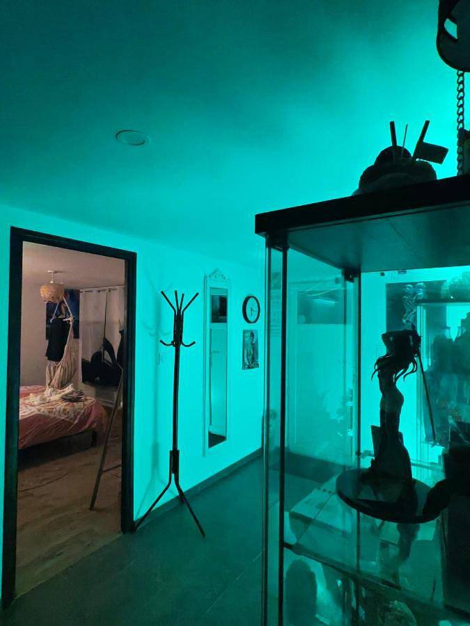 Maison d’hôte pour 2 personnes, avec jardin ainsi que piscine et jacuzzi dans le Tarn - 4