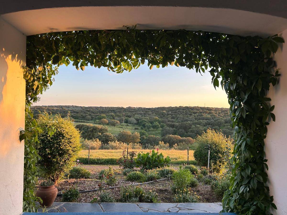 Five-Bedroom House in Monforte, Distrito de Portalegre