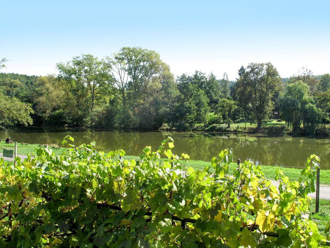 Lužnice - Lužnice 651.1 in Týn nad Vltavou, Budweis en omgeving
