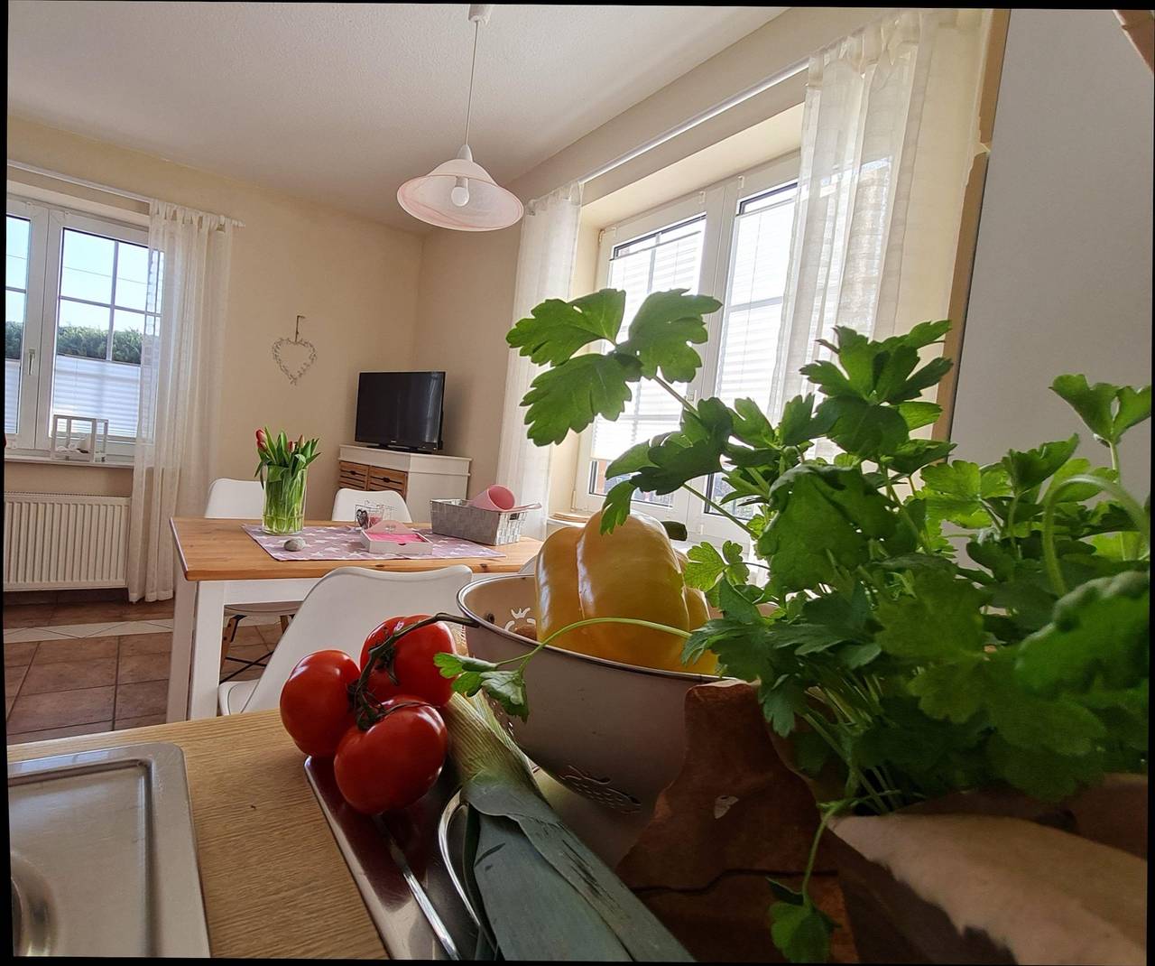 Ganze Ferienwohnung, Ferienwohnung Fink in Eiderstedt