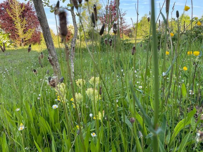 Location de vacances pour 6 personnes, avec jardin et vue, adapté aux familles dans Neuillé-Pont-Pierre - 3
