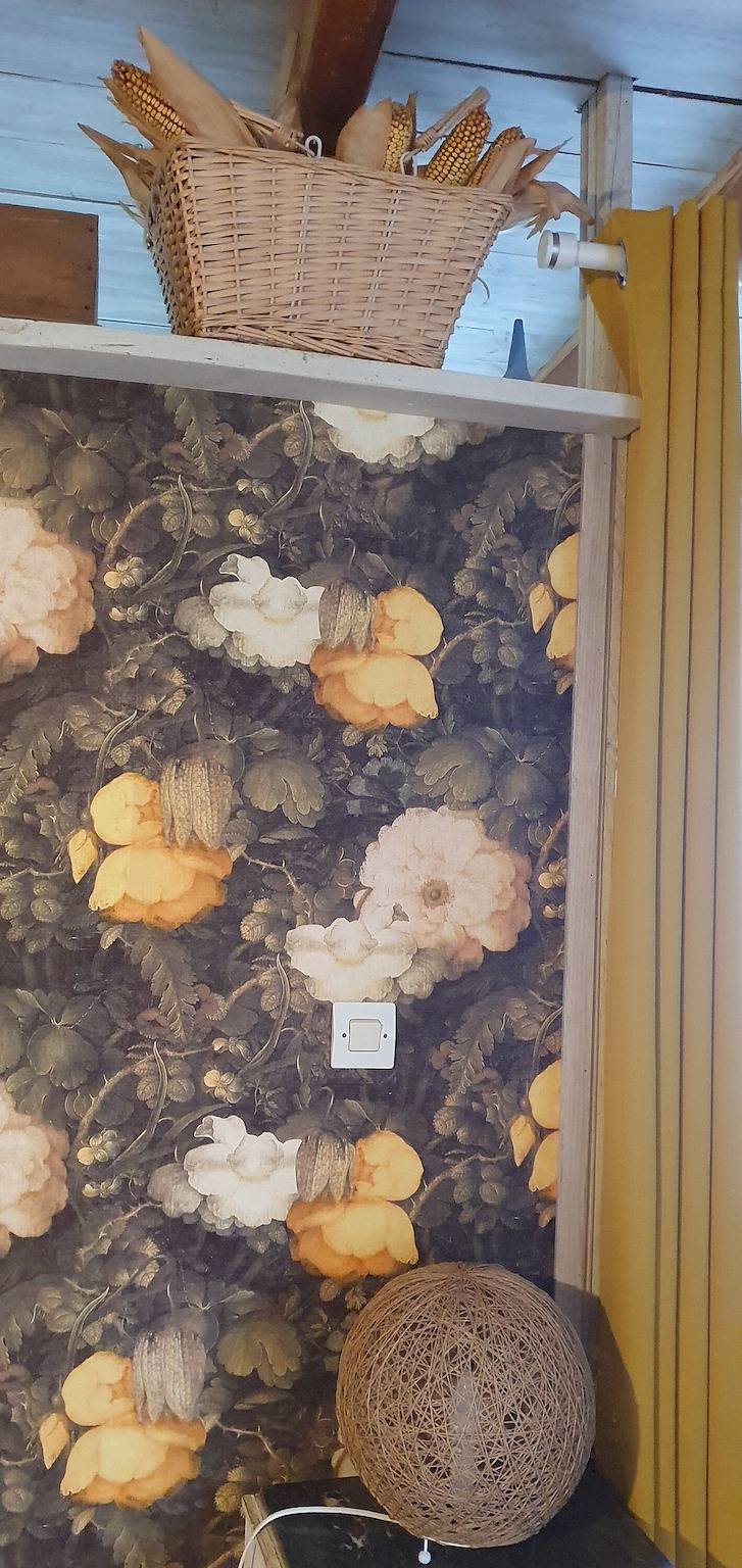 Chambre d’hôtes « Chambre Églantine » in Courçon, Région de La Rochelle